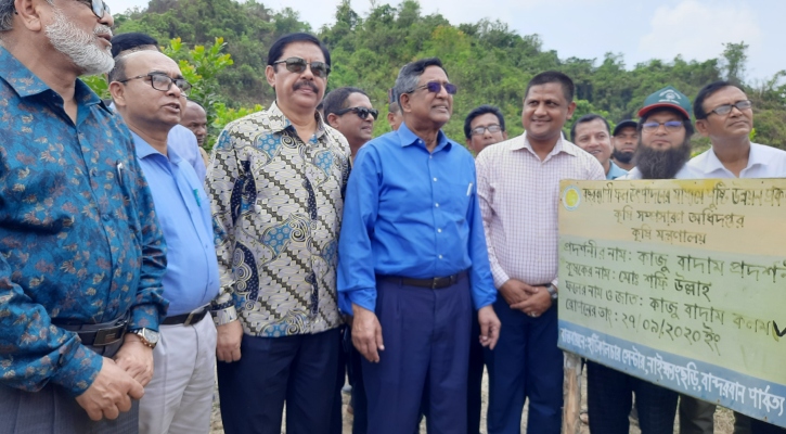 কাজু-কফি চাষে পাল্টে যাবে পাহাড়ের অর্থনৈতিক চেহারা: কৃষিমন্ত্রী